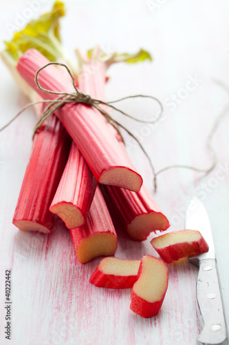 Cuadro en lienzo fresh rhubarb