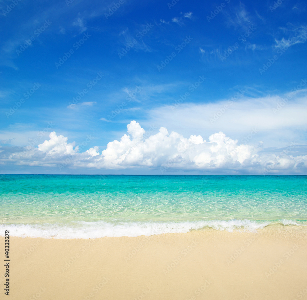 sea sea