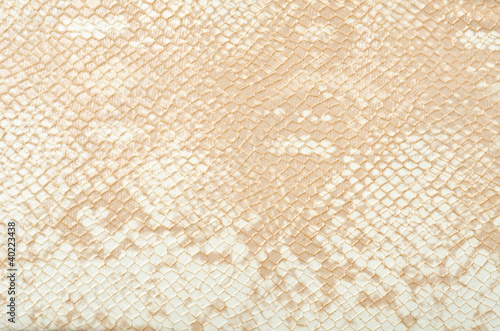 Snake skin