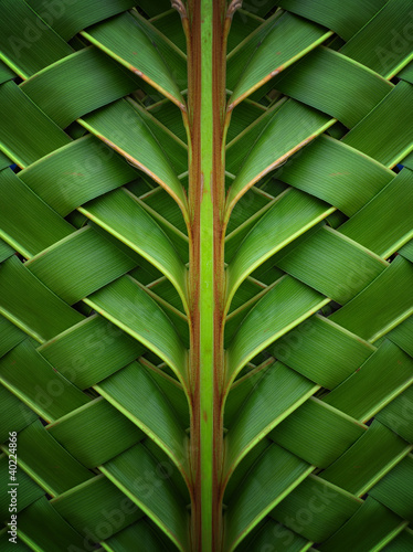 The background created by woven coconut leaves