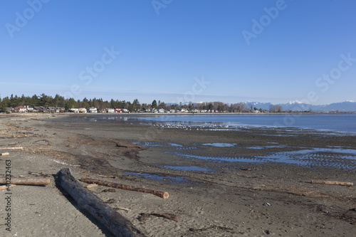 the beach at Boundary bay regional Park, Delta BC