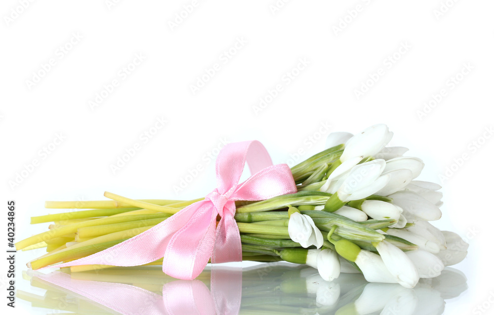 beautiful bouquet of snowdrops isolated on white