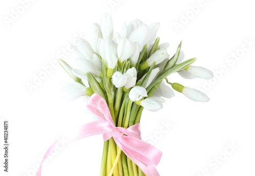 Wallpaper Mural beautiful bouquet of snowdrops isolated on white Torontodigital.ca