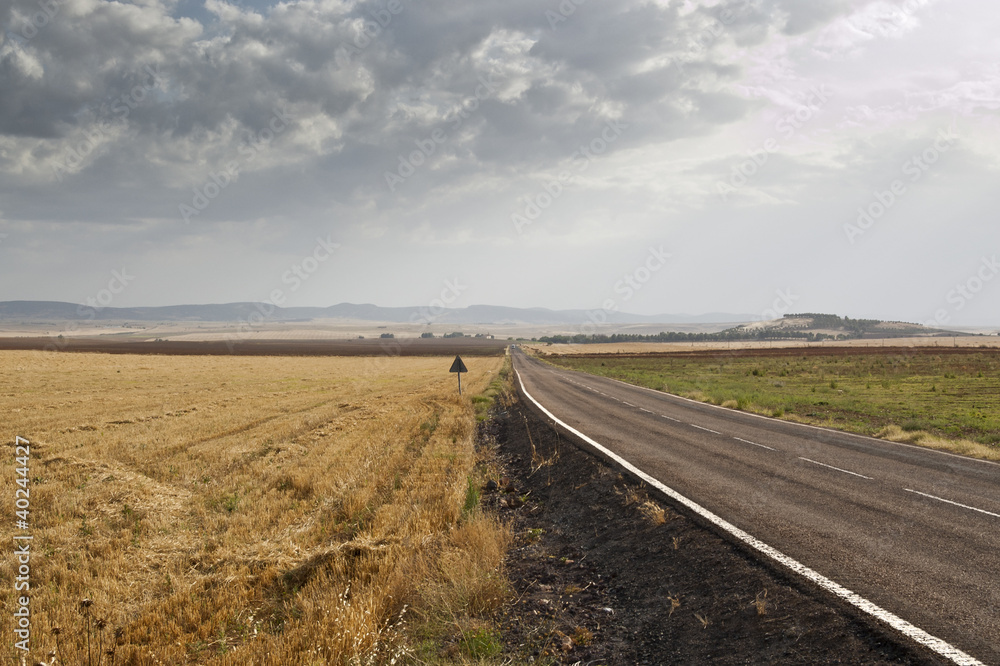 Road in an agricultural landscape