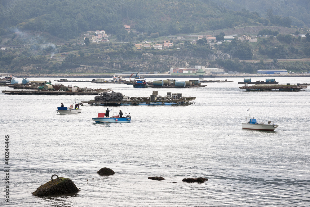 Obraz premium Fishermen on boats