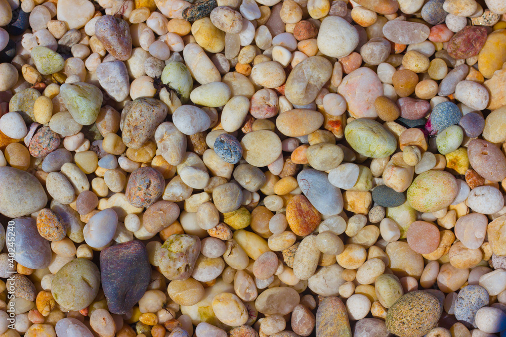 Coastal Pebbles Coastal Pebbles