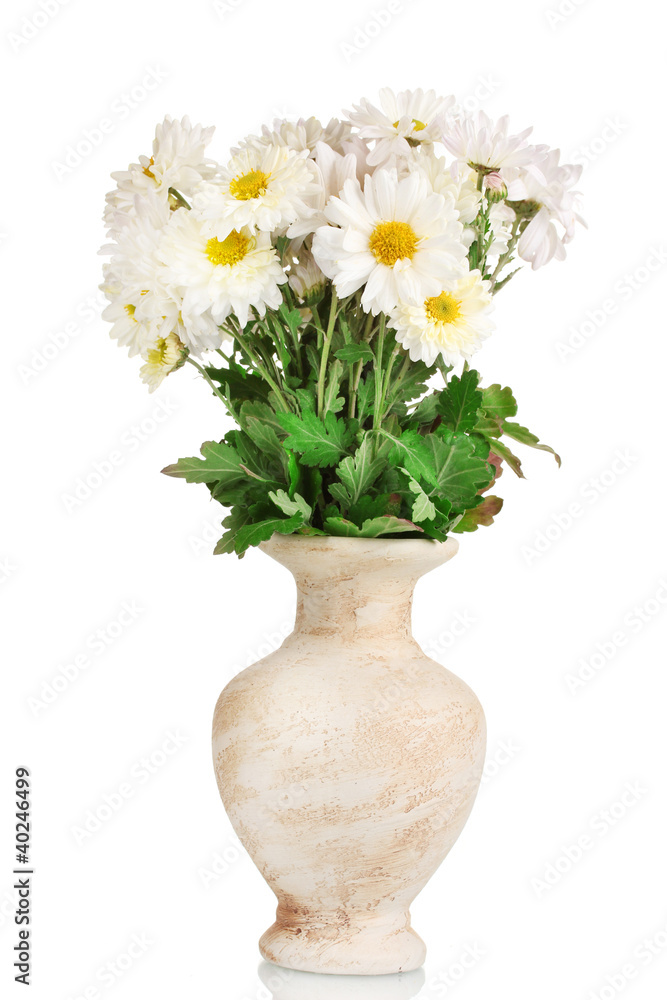 beautiful bouquet of daisies in vase isolated on white