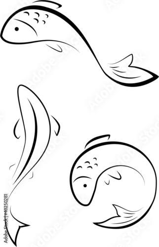 Different options of the stylized fishes on a white background.