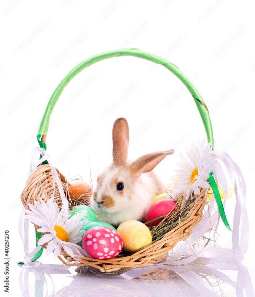 Bunny in easter basket Bunny in easter basket