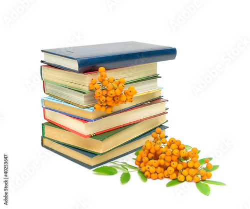 a stack of books and clusters of mountain ash