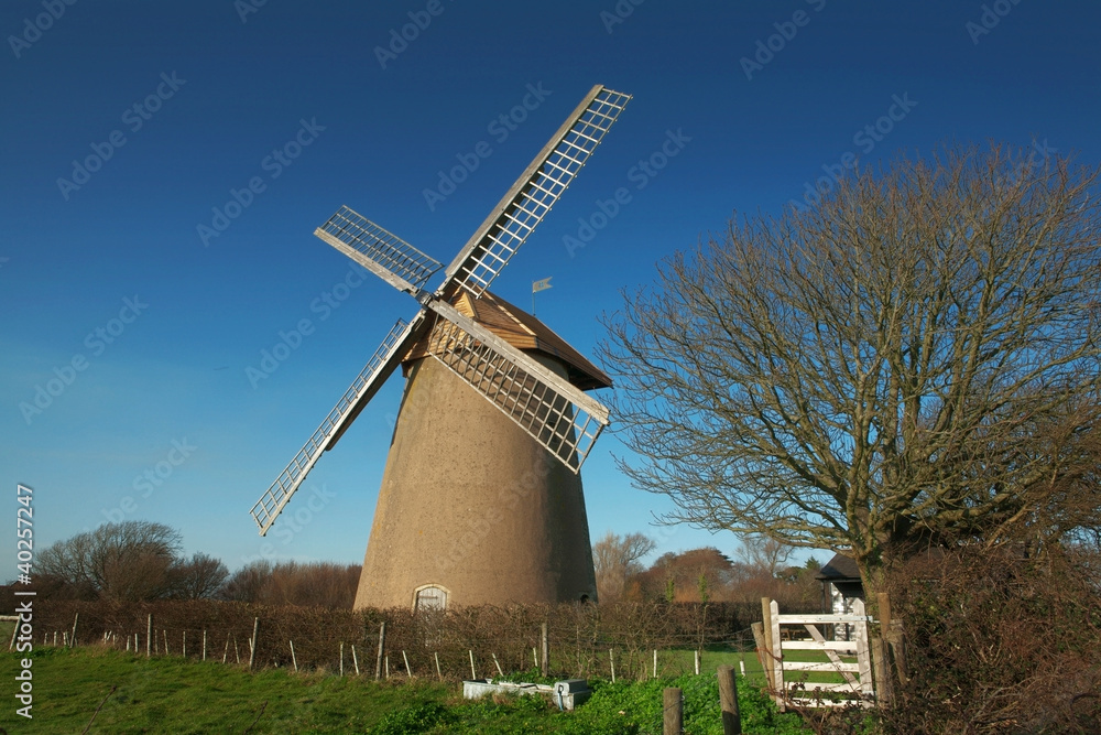 Fototapeta premium landscape