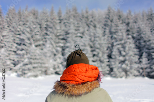 Winter landscape with person