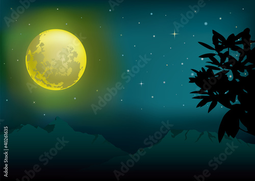 moon and starry night set B