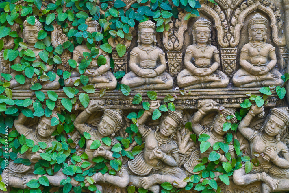 Vine on buddha statue wall Vine on buddha statue wall