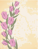 Spring background with tulips, vector