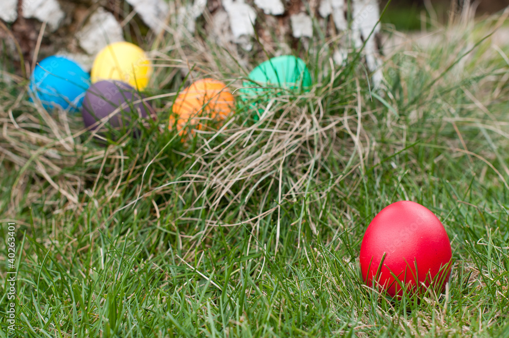 Easter eggs in nest Easter eggs in nest