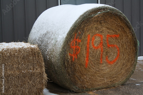 High Cost Of Horse Feed Hay