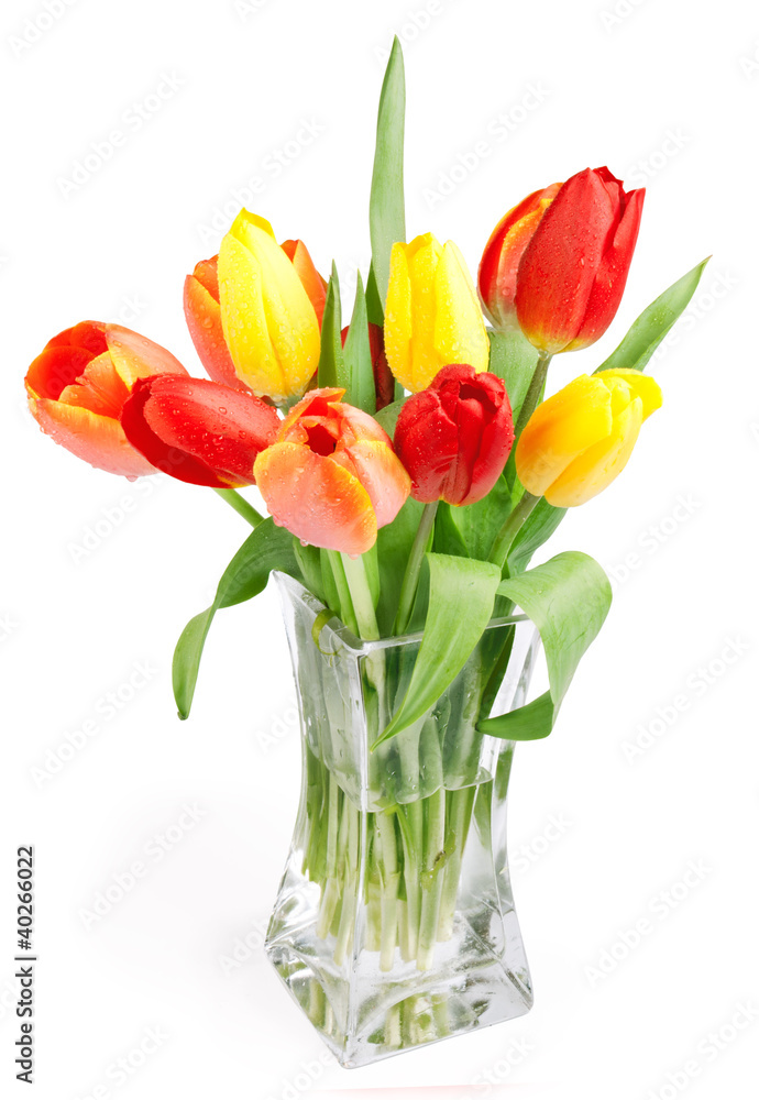 Red-yellow tulips isolated on white Red-yellow tulips isolated on white