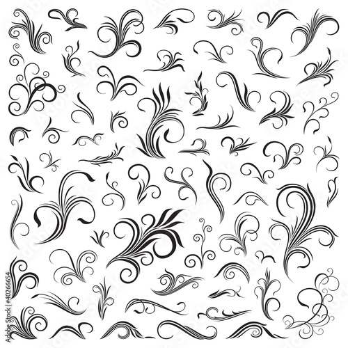 Floral patterns and elements