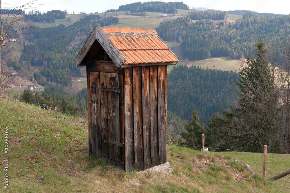 Selche StockFoto Adobe Stock