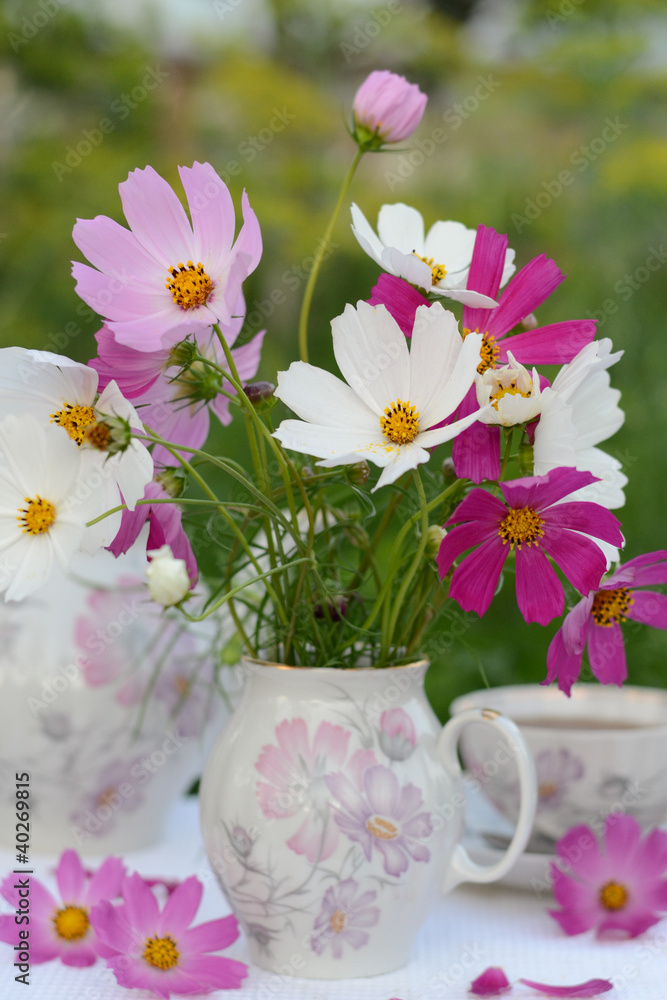 bouquet of cosmos bouquet of cosmos