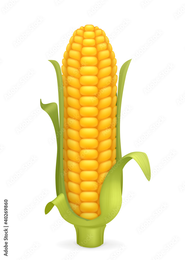 Obraz premium Corn