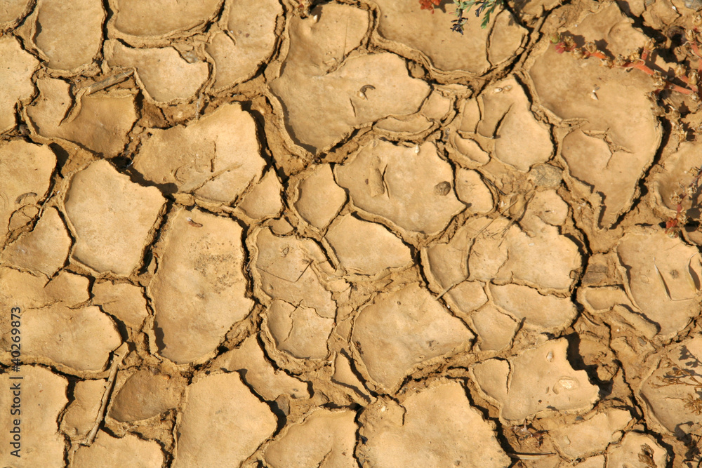 Cracked ground Cracked ground