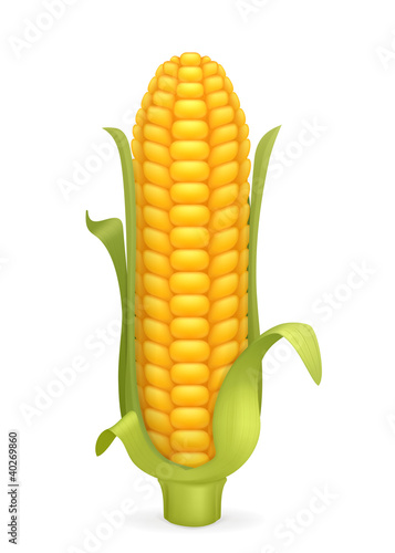 Corn