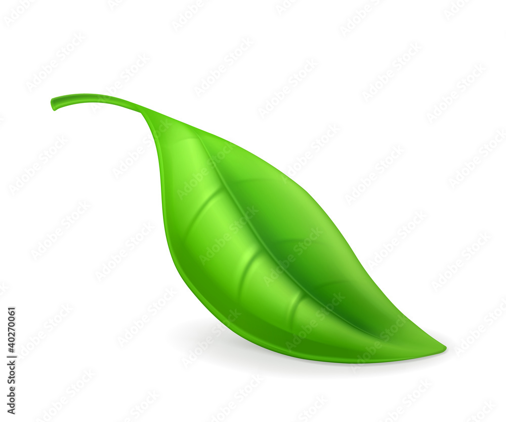Leaf, icon Leaf, icon