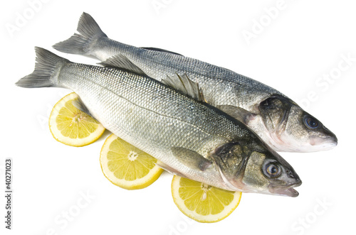 Two sea bass