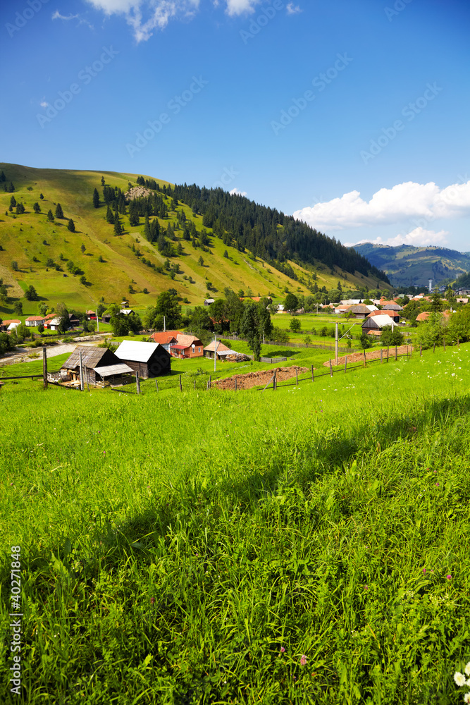 Summer landscape in the countryside