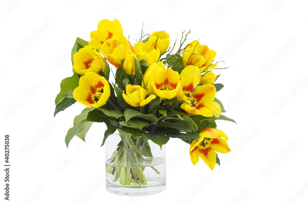 Beautiful yellow tulips in a vase on a white background