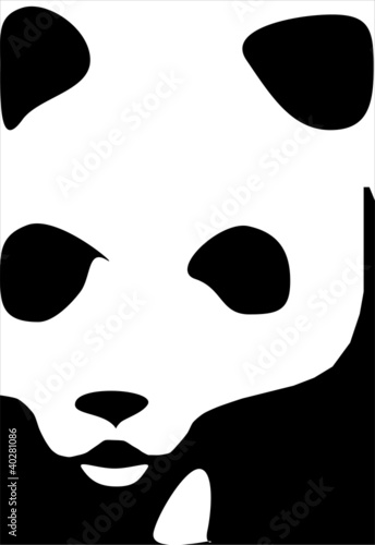 Fototapeta Naklejka Na Ścianę i Meble -  panda or bear