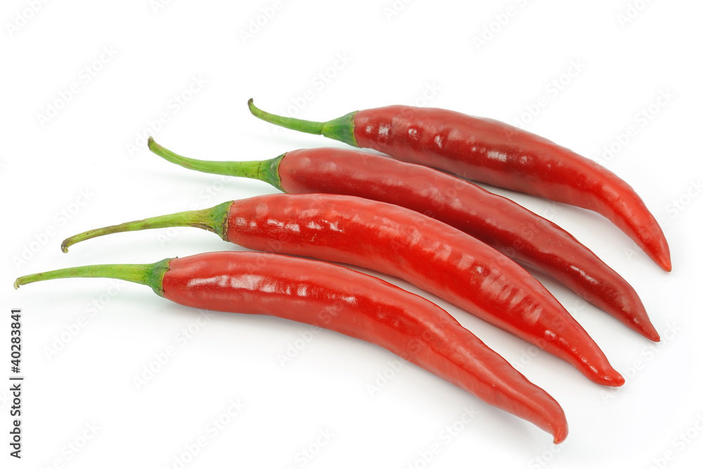 red hot chili pepper isolated on a white background red hot chili pepper isolated on a white background