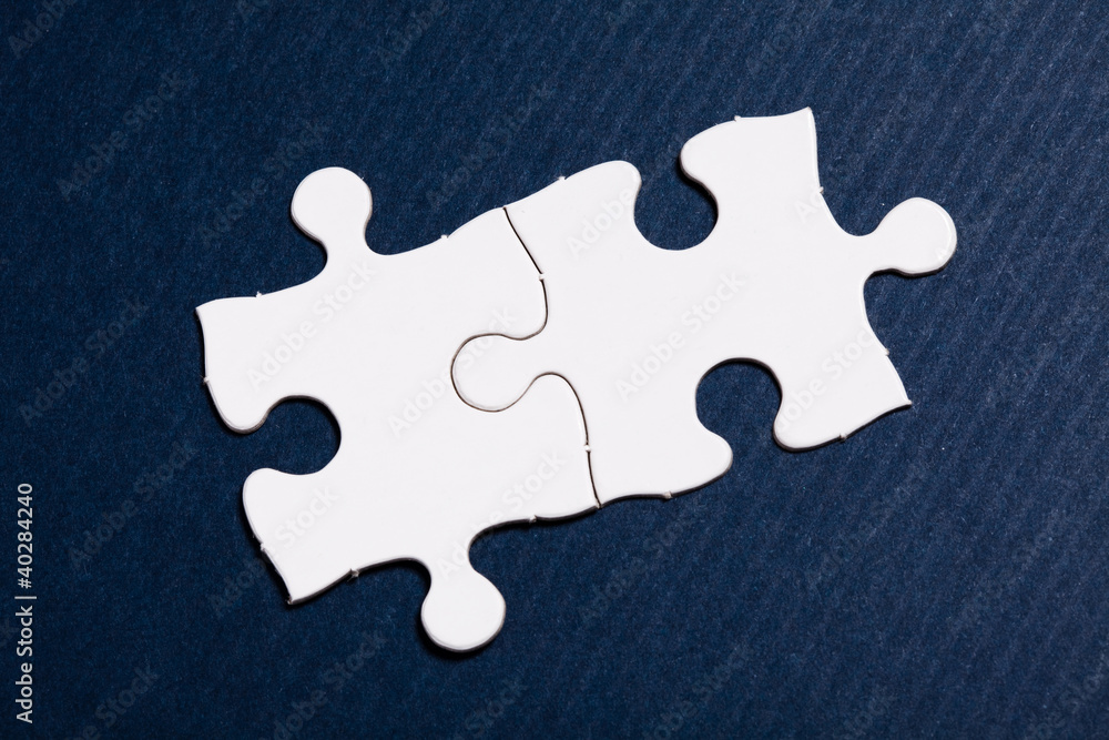 Obraz premium Blank Puzzle