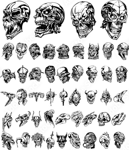 Fotografie Monster skulls collection