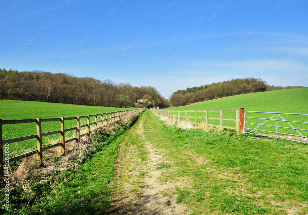 Grassy Track between fields