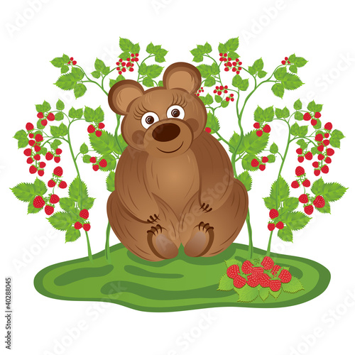 Bear in the bushes of raspberries
