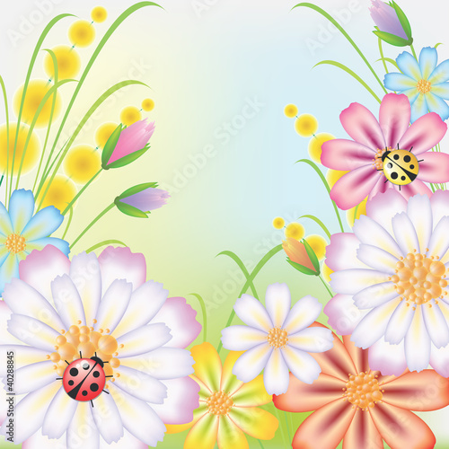 Flowers on to the meadow