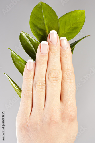 Beautiful hands with French manicure nails