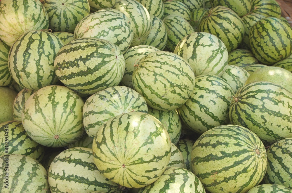 Watermelon Watermelon