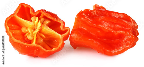 World hottest Bhut Jolokia chili pepper or the Naga Morich