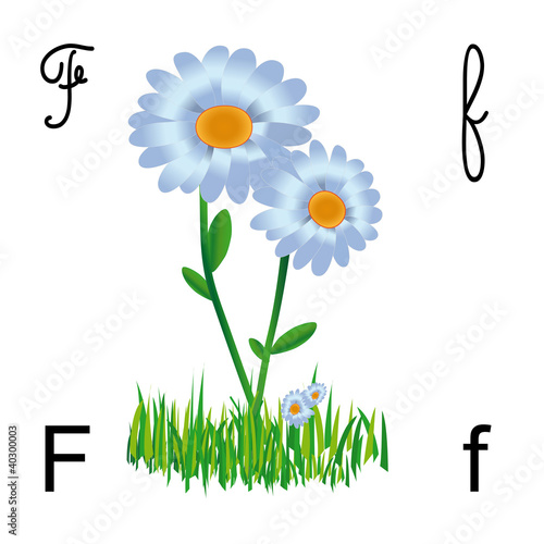 F come fiore - Alphabet school
