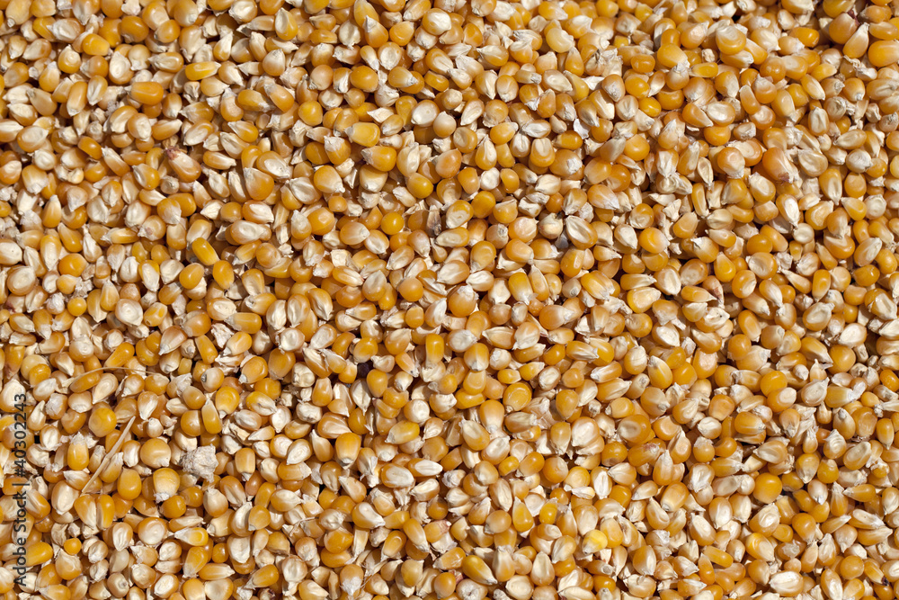 Corn beans Corn beans