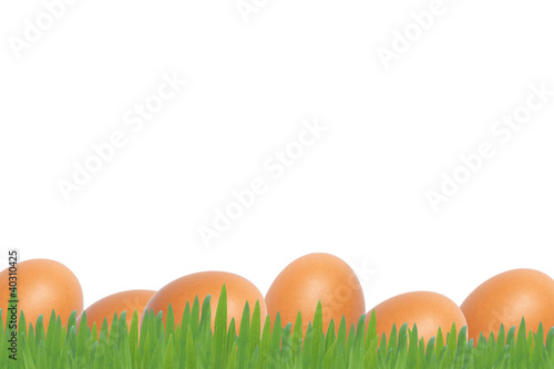 Easter eggs on whiter background