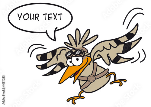 oiseau pigeon vol personnage message