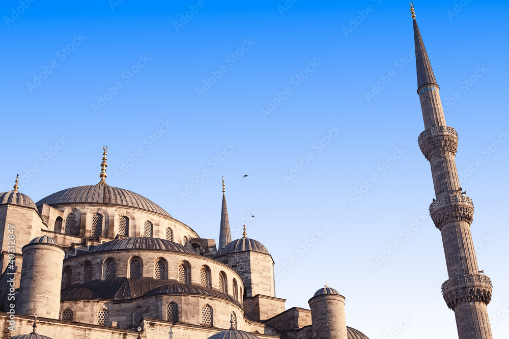 Obraz premium Blue Mosque