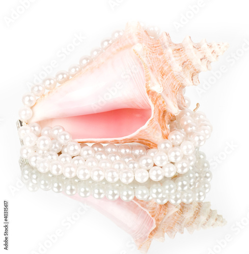 Beautiful exotic shell and pearls