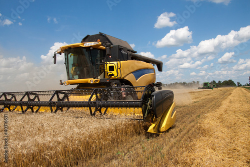 Combine harvests wheat on a field in sunny summer day