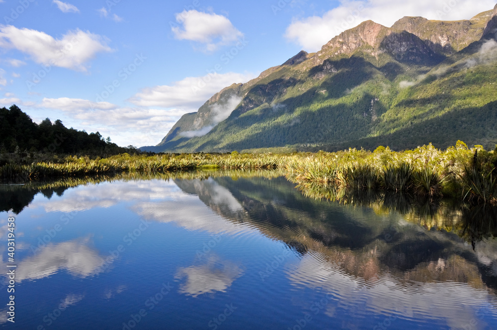 Mirror lakes, Milford Sound (New Zealand)